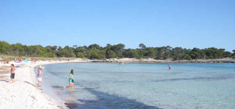 Playas de Menorca - Son Saura